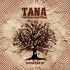 tana-the-pocket-philarmonic_springtime-ep